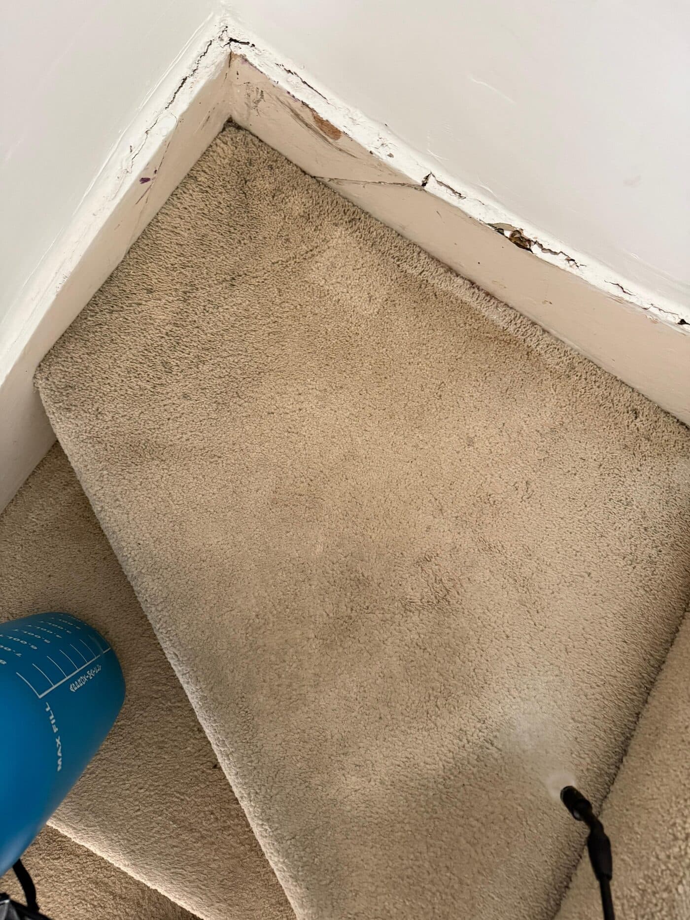Professional carpet cleaning on stairs