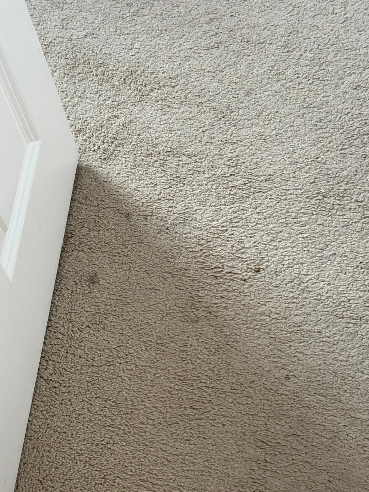 Small makeup and spot stains on carpet