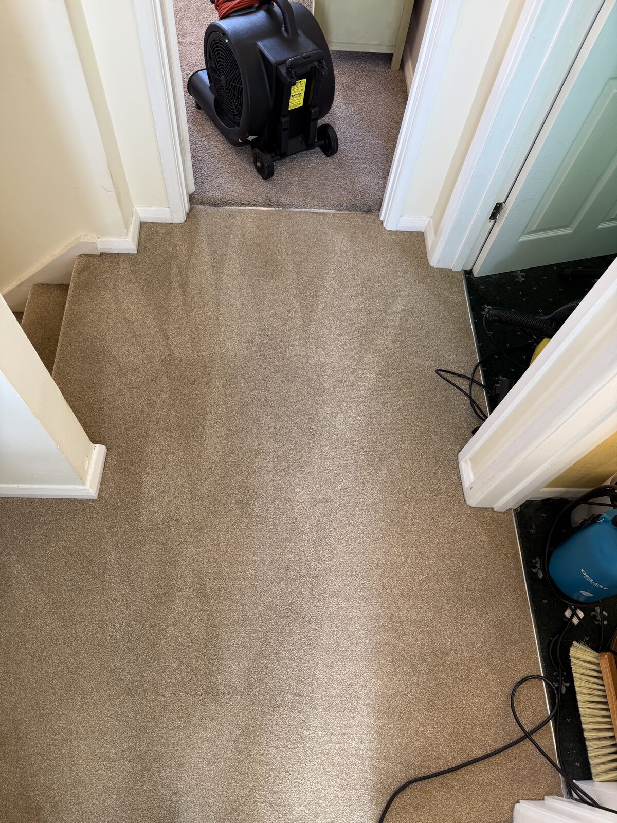 Soiled hallway carpet before professional cleaning