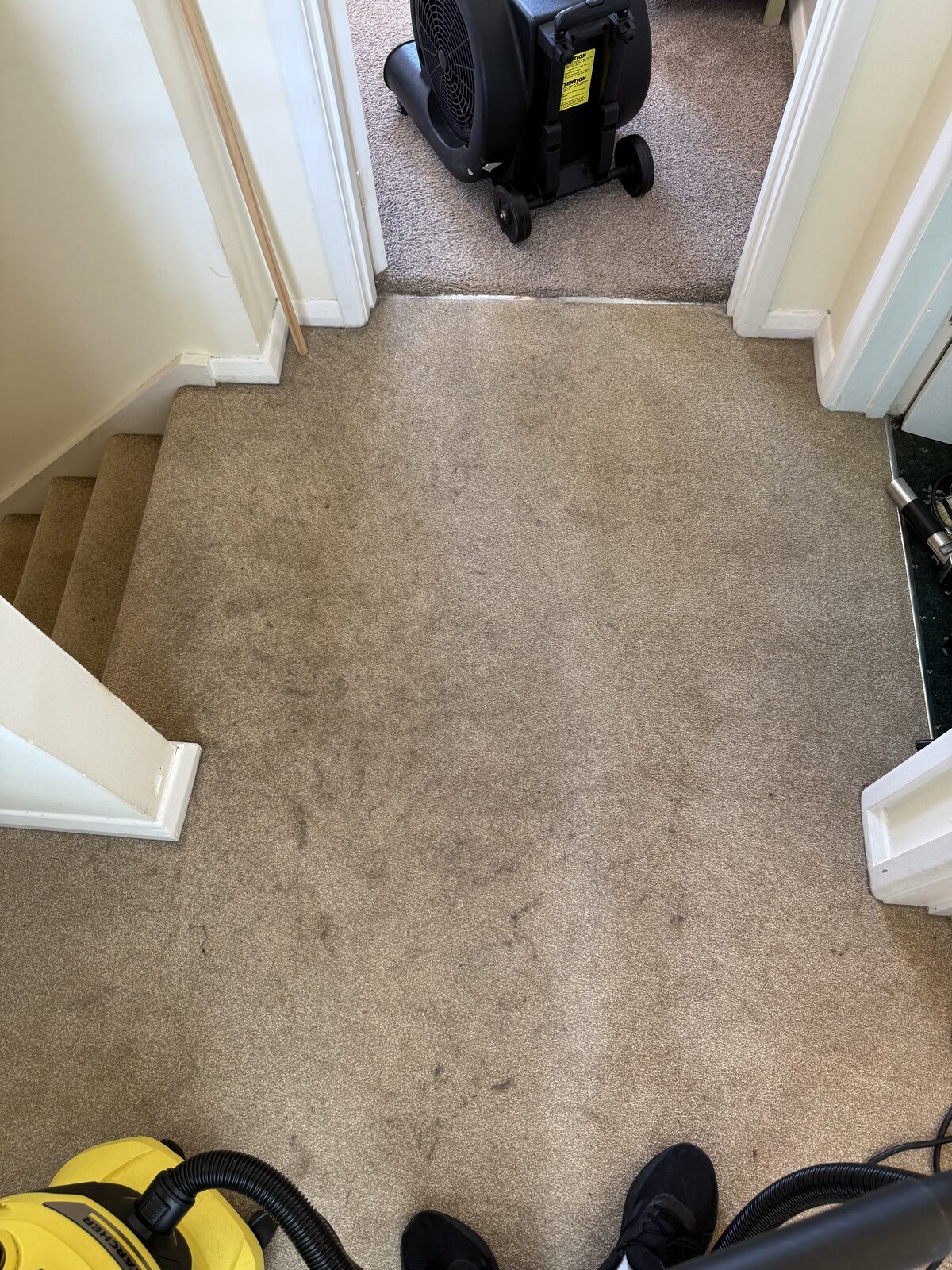 Hallway carpet after professional cleaning